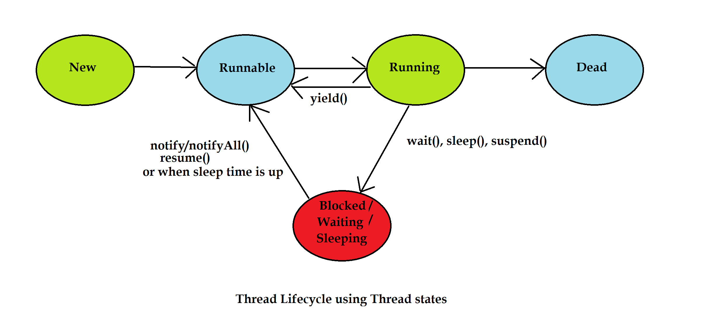 Thread Lifecycle Java Training School